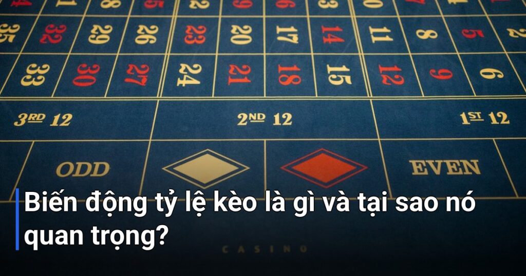 Biến động tỷ lệ kèo là gì và tại sao nó quan trọng?