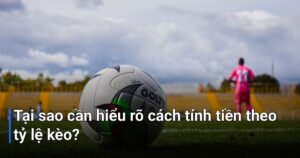 Tại sao cần hiểu rõ cách tính tiền theo tỷ lệ kèo?