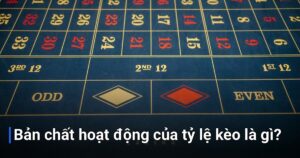 Bản chất hoạt động của tỷ lệ kèo là gì?