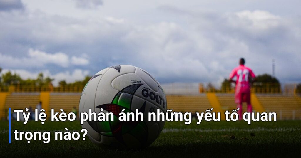 Tỷ lệ kèo phản ánh những yếu tố quan trọng nào?